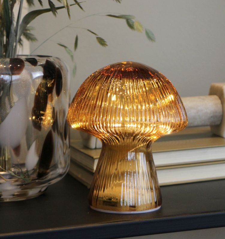Sopp led lysebrun