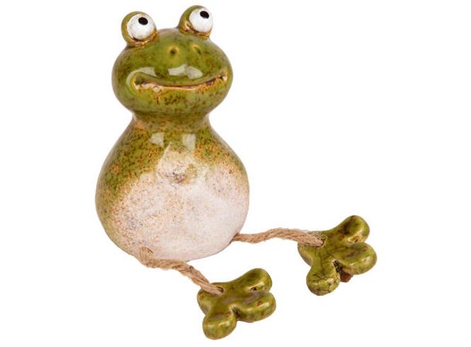 Hovedbilde Frosk med hengende ben