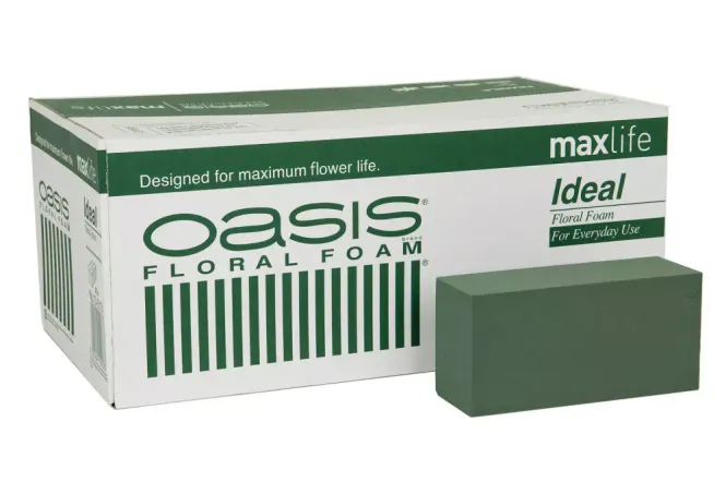 Hovedbilde Oasis  grønn