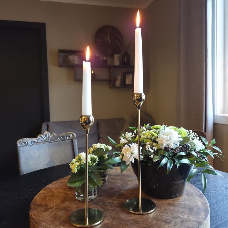 Lysestake gull Samui lav