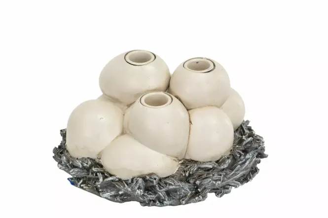 Hovedbilde Lysestake egg i reir